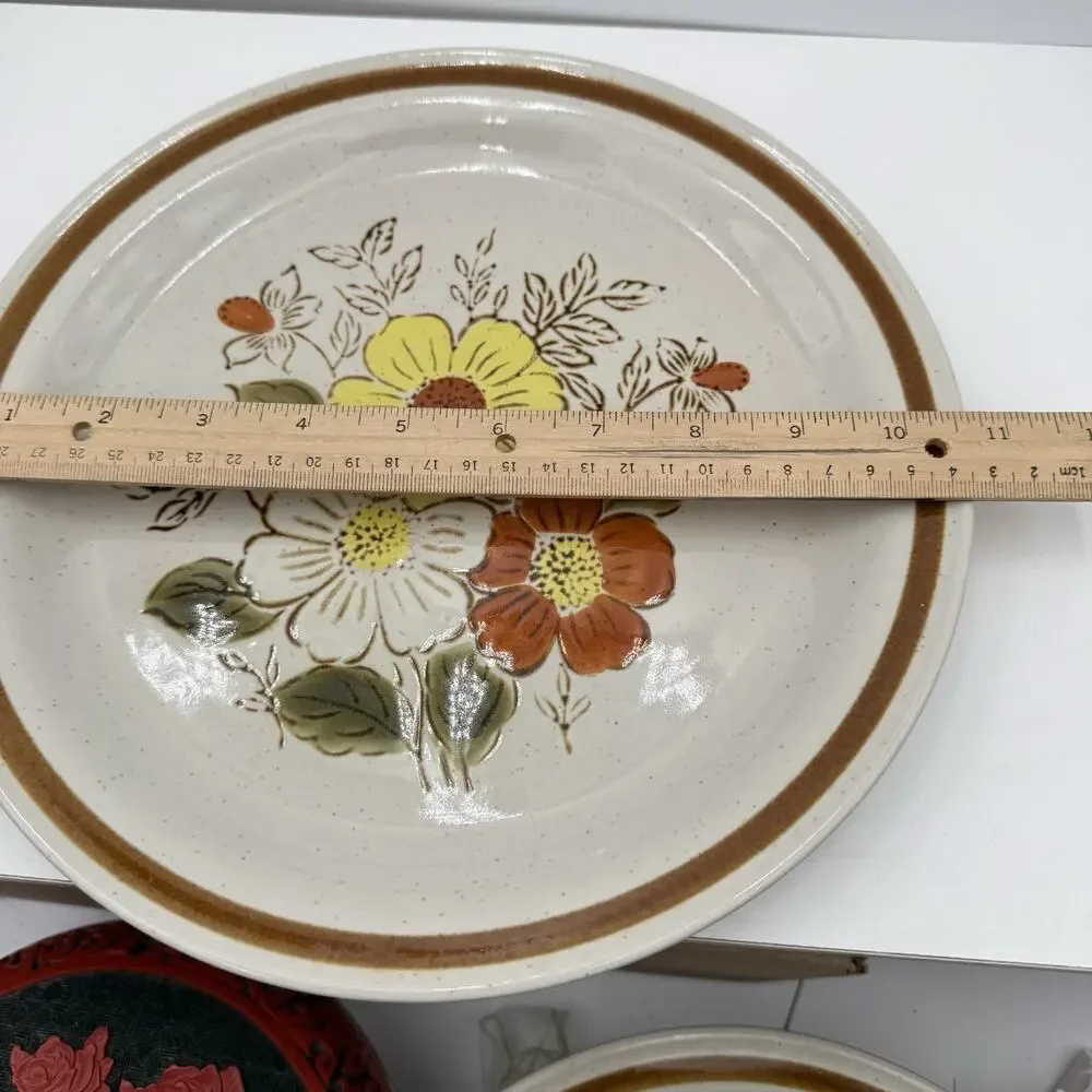 Old Brook Collection Stoneware Retro MCM Stone Brook Dinner Plate‎ 10.75” D EUC